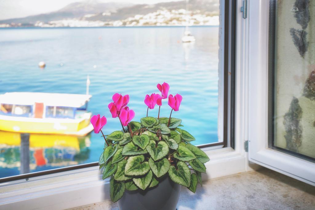 Apartments Barizon Luštica Dış mekan fotoğraf